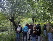 Skjøtsel av alm i Eikesdal